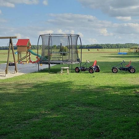 Comfort Safaritent 6 Pers En Mini Camping Zwiggelte Экстерьер фото