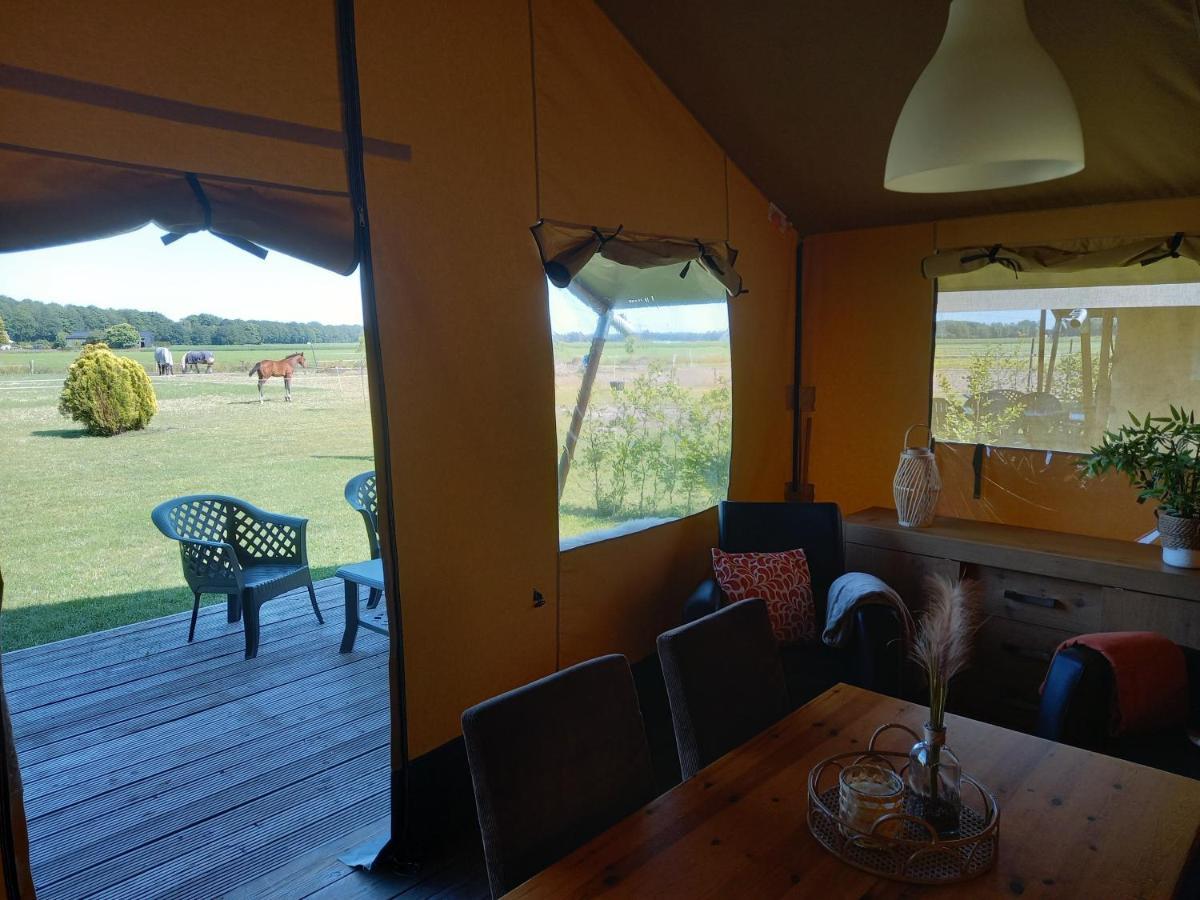 Comfort Safaritent 6 Pers En Mini Camping Zwiggelte Экстерьер фото