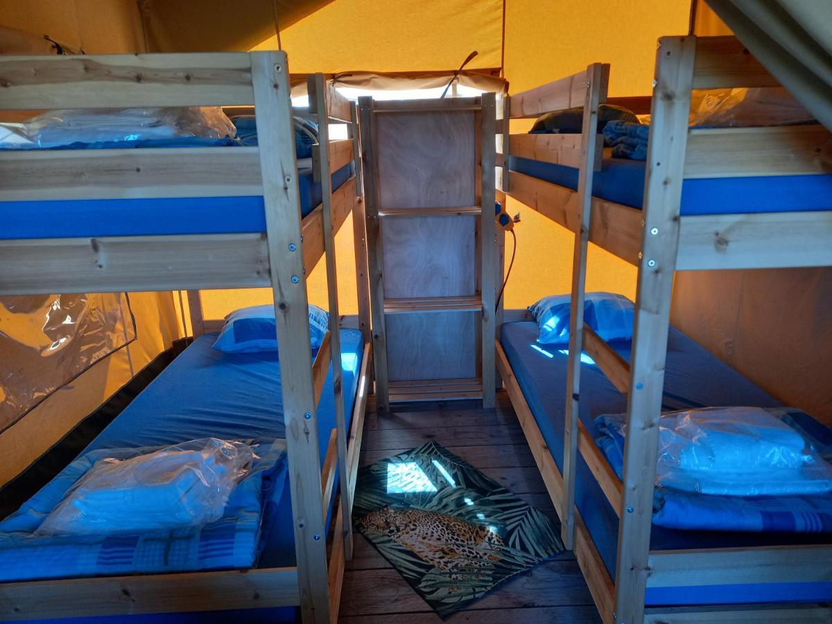 Comfort Safaritent 6 Pers En Mini Camping Zwiggelte Экстерьер фото