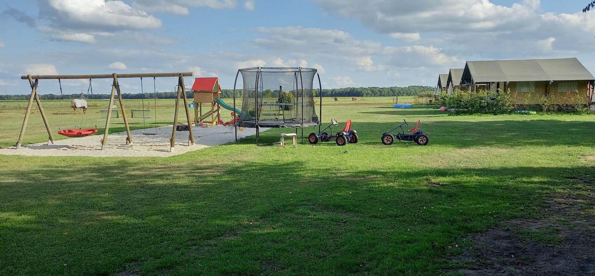 Comfort Safaritent 6 Pers En Mini Camping Zwiggelte Экстерьер фото